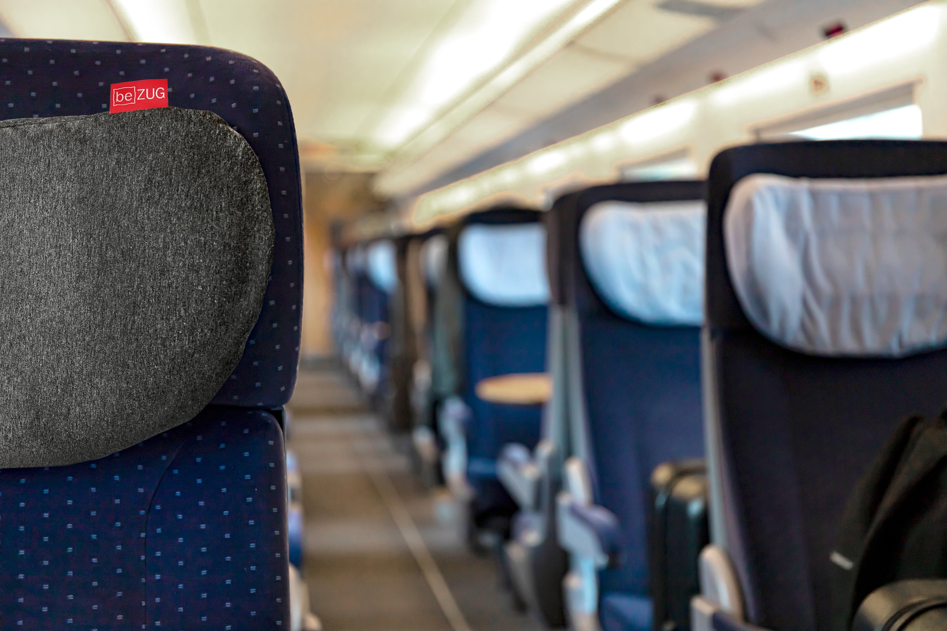 Kissenbezug für ICE-Kissen